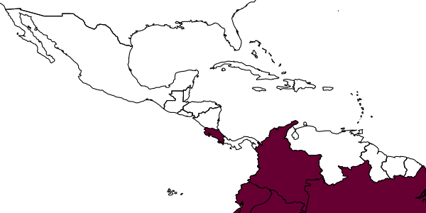 map of Mischocyttarus vaqueroi     Zikán, 1949